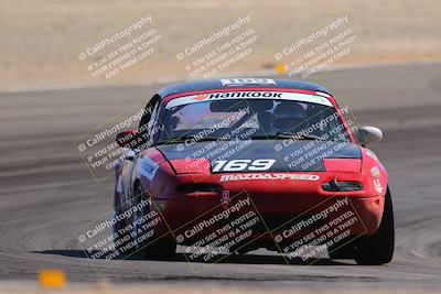 media/Oct-15-2023-Lucky Dog Racing Chuckwalla (Sun) [[f659570f60]]/3rd Stint Turn 10/